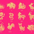 Vietnamese Astrology